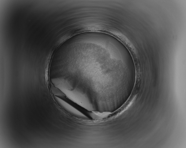 X0000087590889200705181217