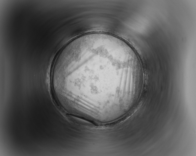 X0000087590890200705181217