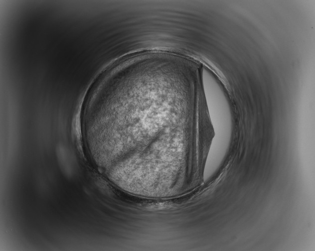 X0000087590891200705181217