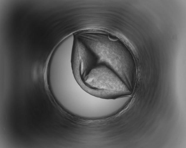 X0000087590892200705181217