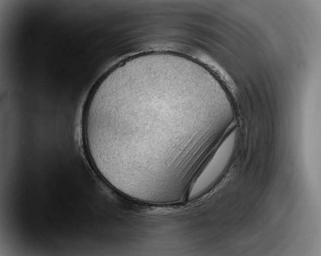 X0000087590894200705181217