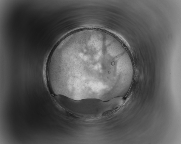 X0000087590895200705181217