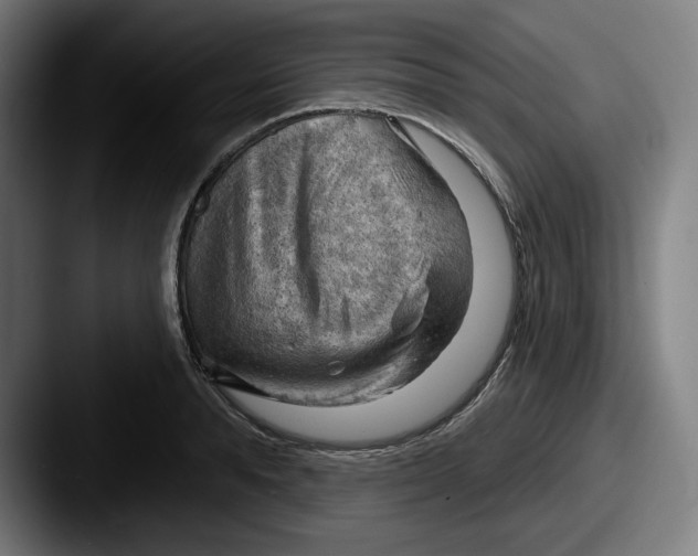 X0000087590896200705181217