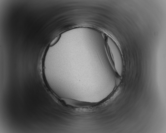 X0000087590898200705181217