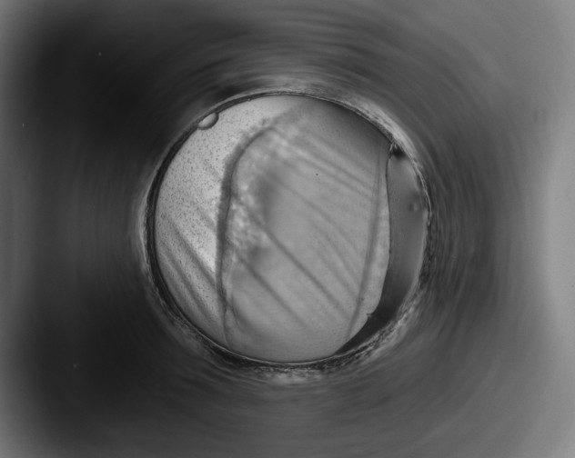 X0000087590899200705181217