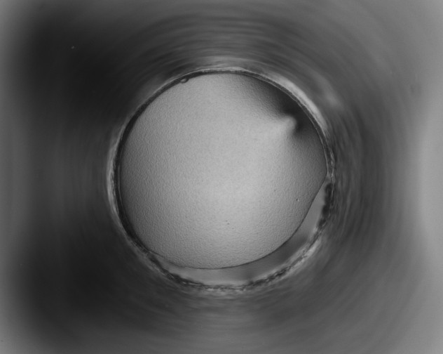 X0000087590901200705181217