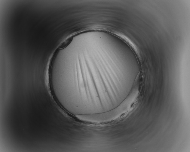 X0000087590902200705181217