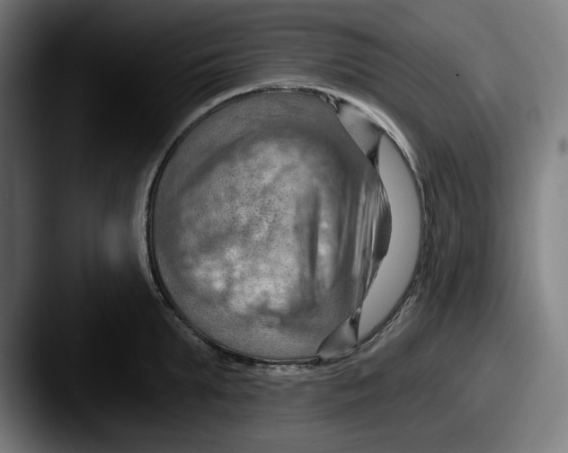 X0000087590903200705181217