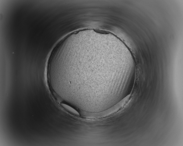 X0000087590904200705181217