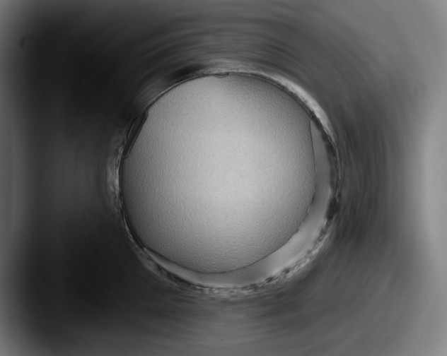 X0000087590905200705181217