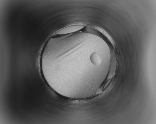 X0000087590906200705181217