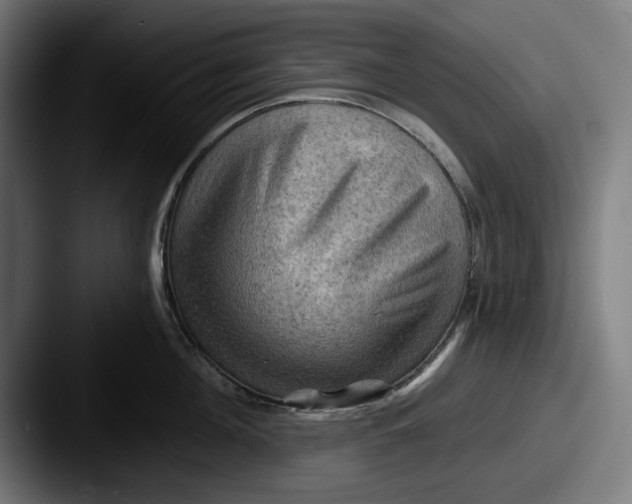 X0000087590908200705181217