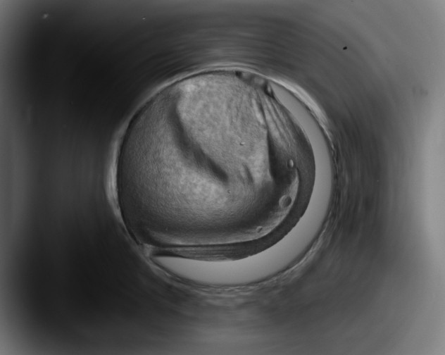 X0000087590910200705181217