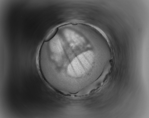 X0000087590911200705181217