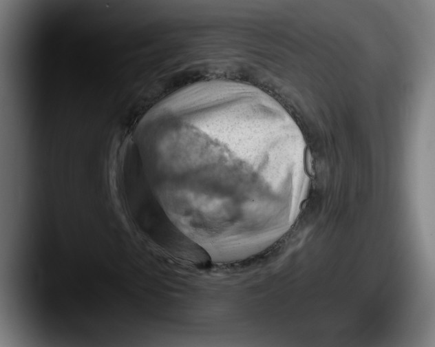 X0000087590913200705181216