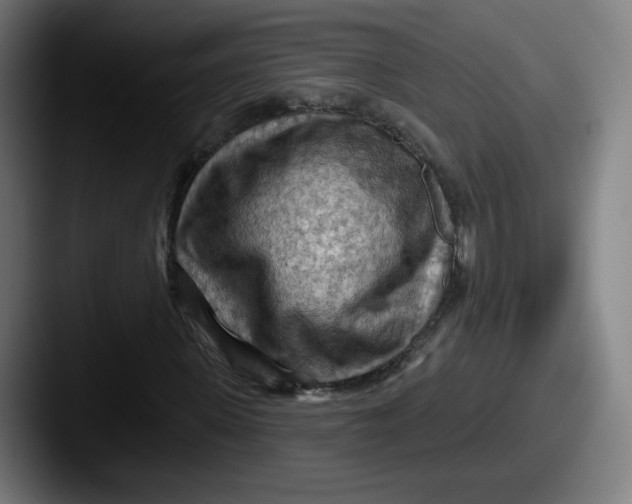 X0000087590915200705181216