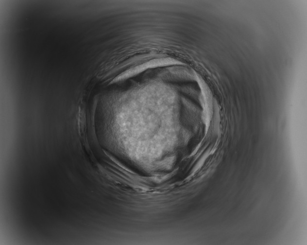 X0000087590916200705181216