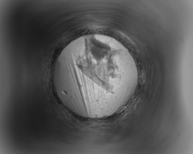 X0000087590917200705181216