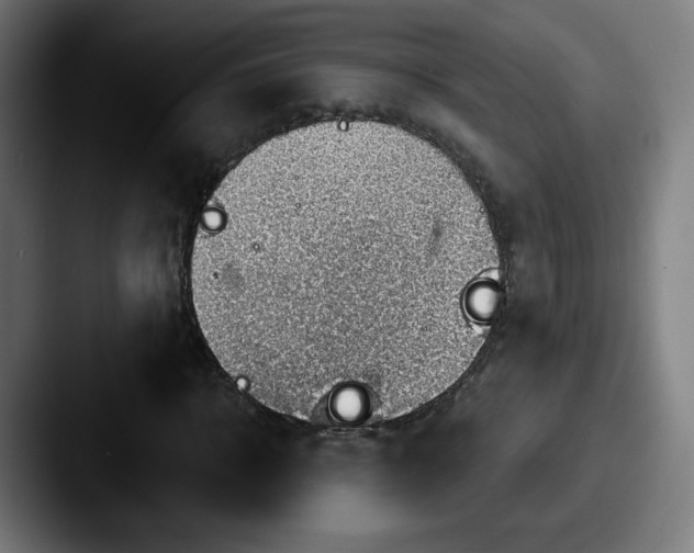 X0000087590918200705181216