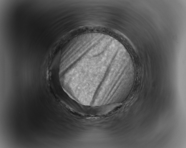 X0000087590919200705181216