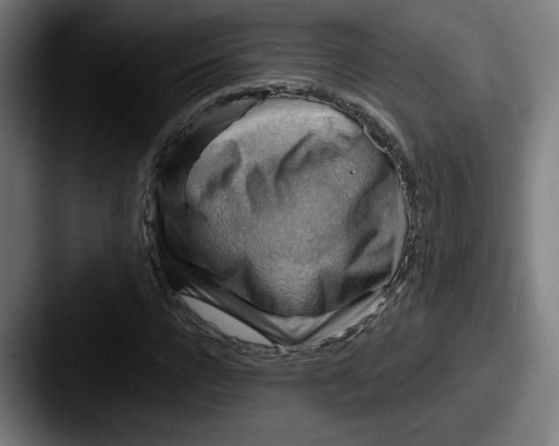 X0000087590920200705181216