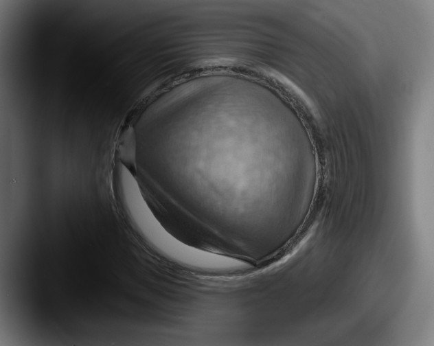 X0000087590921200705181216