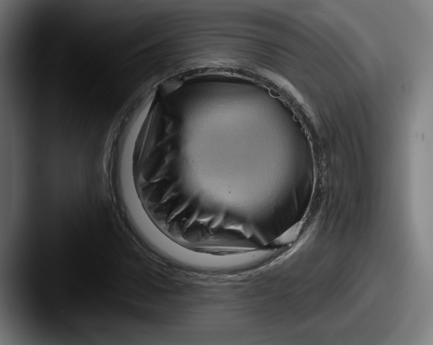 X0000087590922200705181216