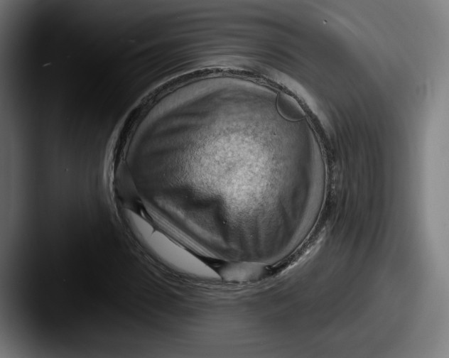 X0000087590923200705181216