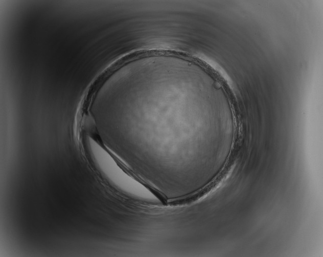 X0000087590925200705181216