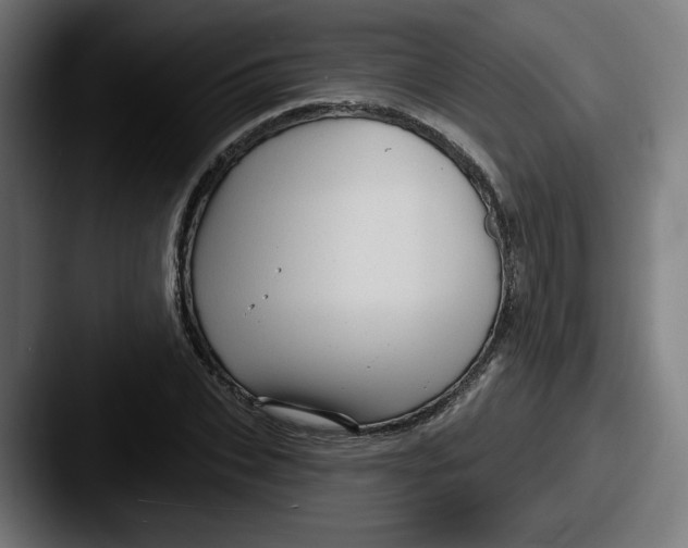 X0000087590927200705181216