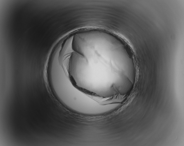 X0000087590928200705181216