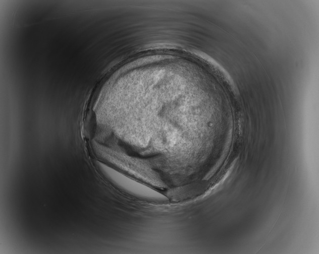 X0000087590929200705181216