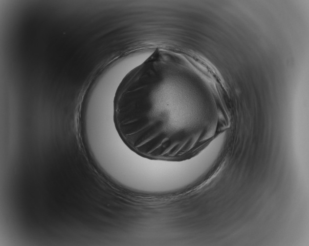 X0000087590930200705181216