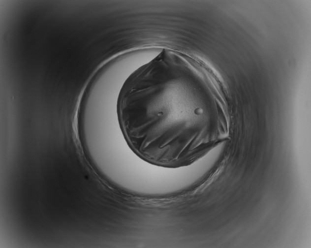 X0000087590932200705181216