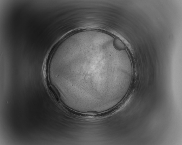 X0000087590933200705181216