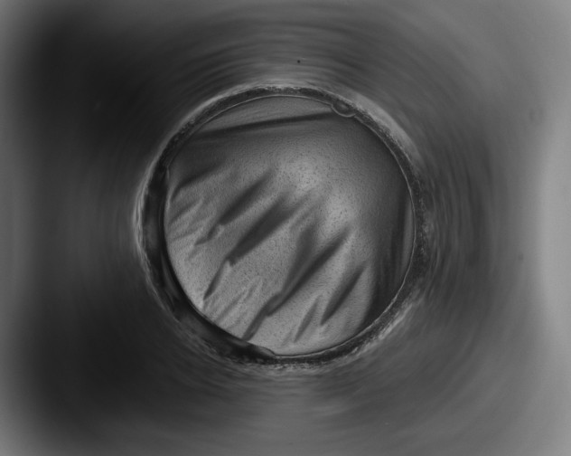 X0000087590934200705181216