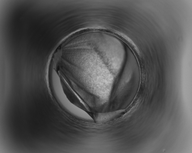 X0000087590935200705181216