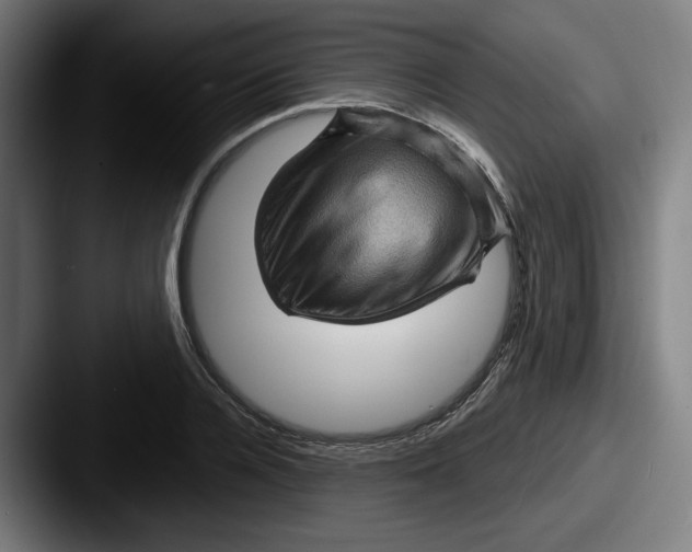 X0000087590936200705181216