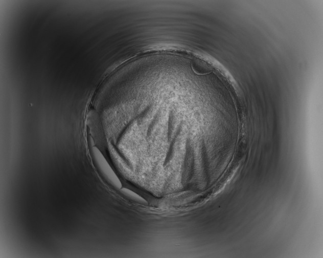 X0000087590937200705181216