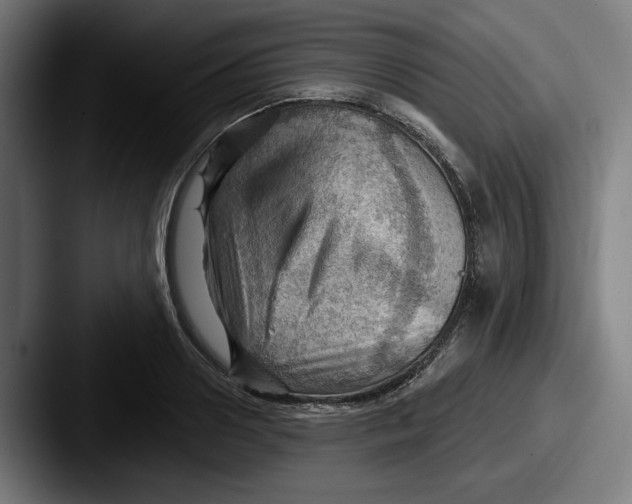 X0000087590938200705181216