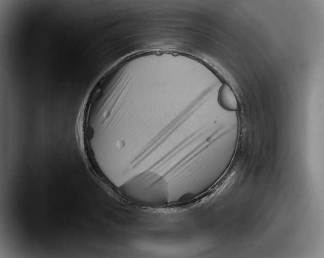 X0000087590941200705181216