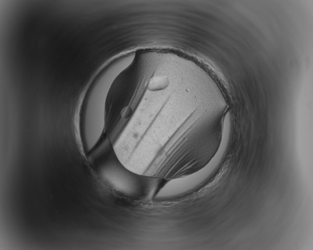 X0000087590942200705181216