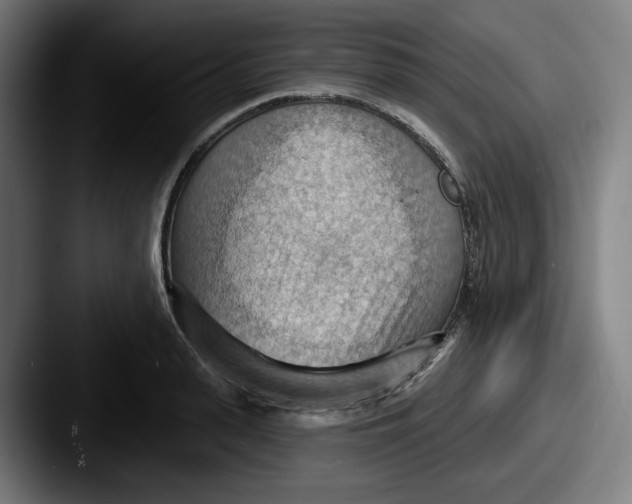 X0000087590943200705181216