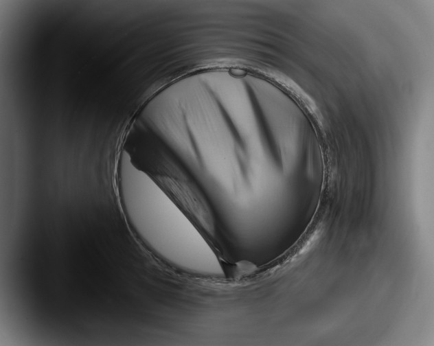 X0000087590945200705181216