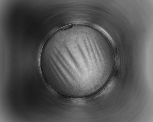 X0000087590946200705181216