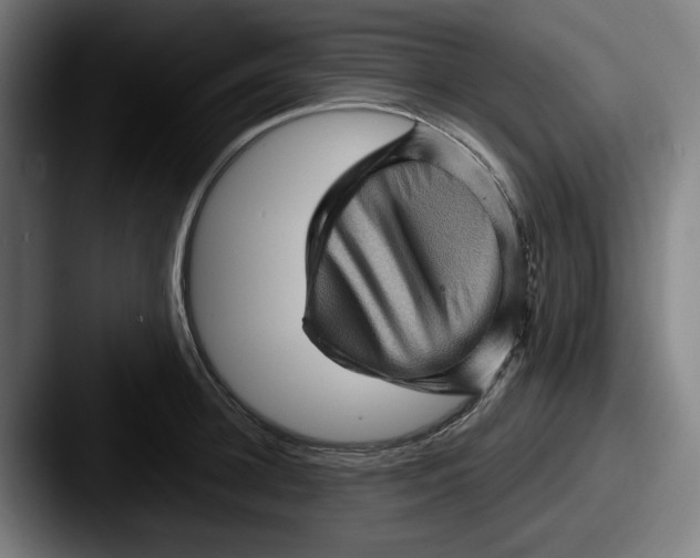 X0000087590948200705181216