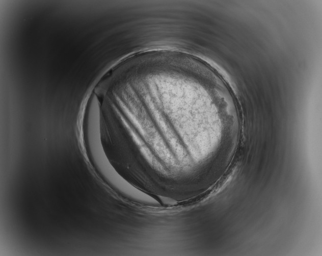 X0000087590949200705181216