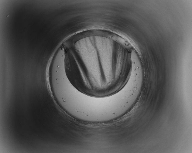 X0000087590950200705181216