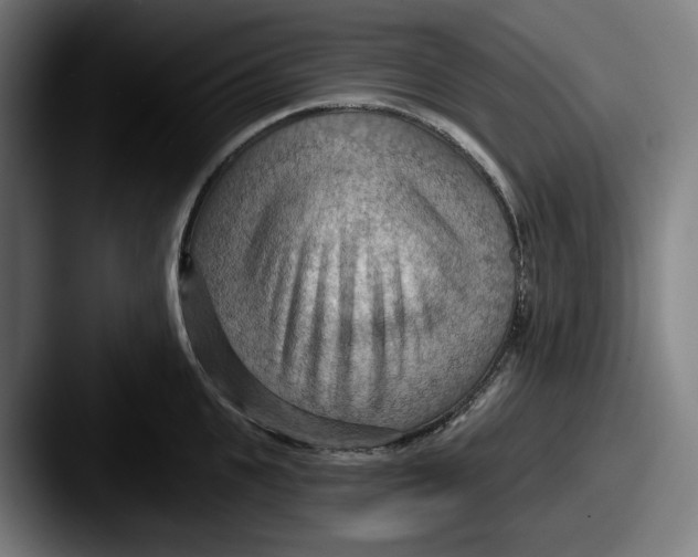 X0000087590951200705181216