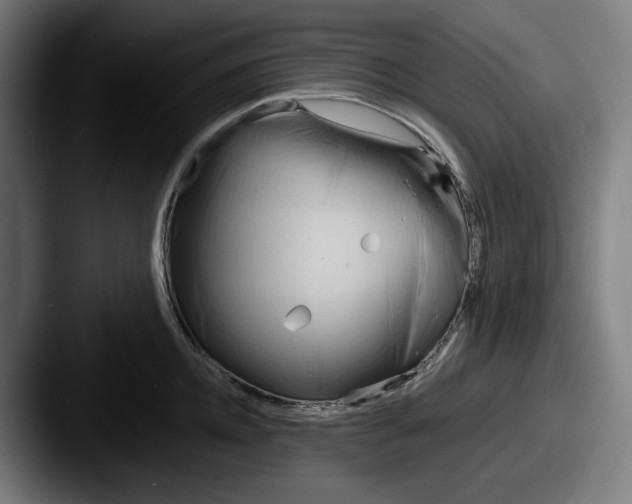 X0000087590952200705181217